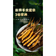 2021西藏那曲新鲜冬虫夏草正品0.6克/根50根鲜虫草30克头期鲜草